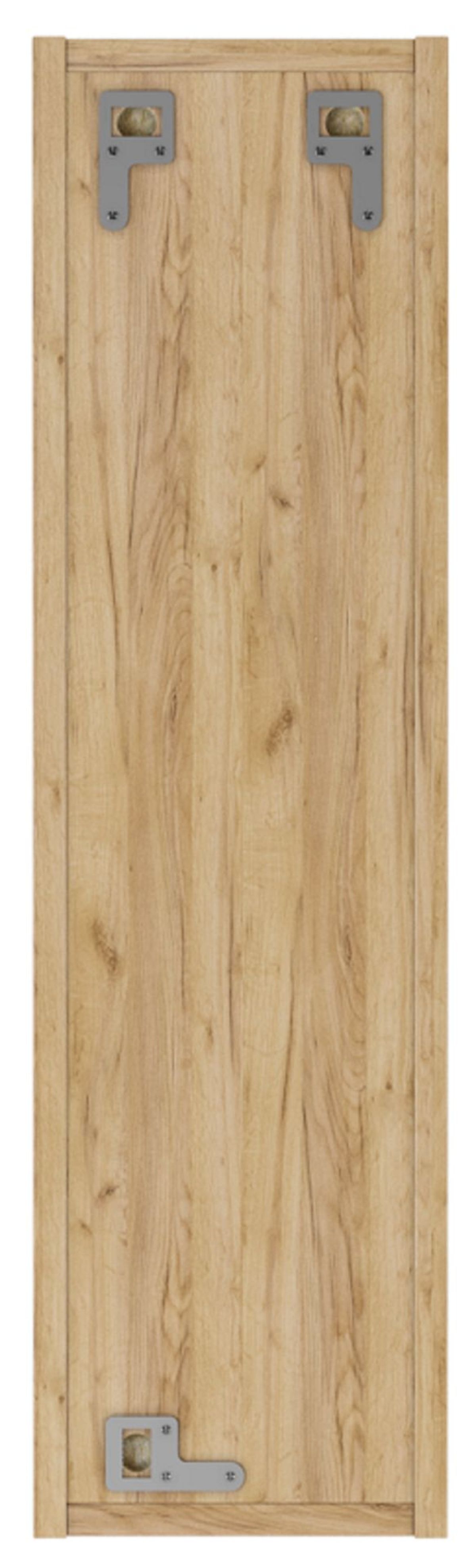 Шкаф модульный Craft 20 вертикальный/горизонтальный Домино (DCr2218H) | фото 4