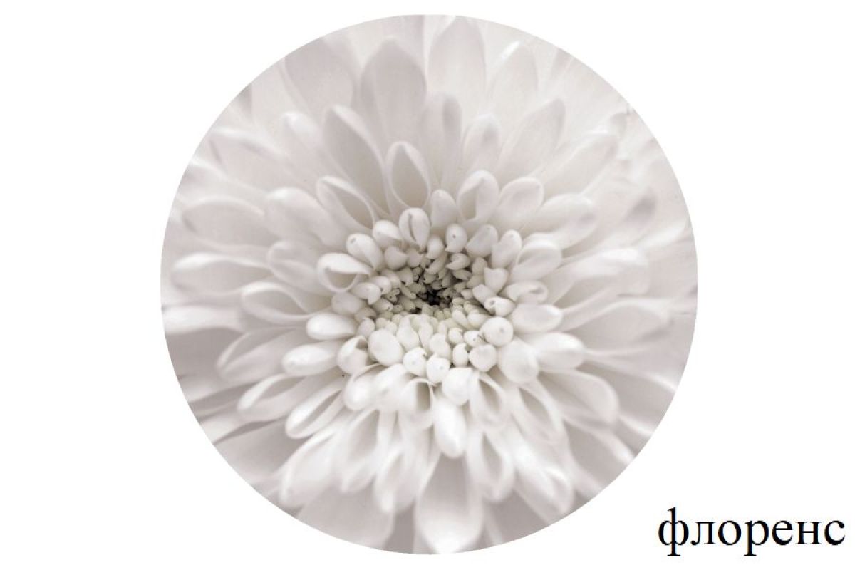 БОСТОН Стол круглый раздвижной 1080/1420 опоры Брифинг | фото 14