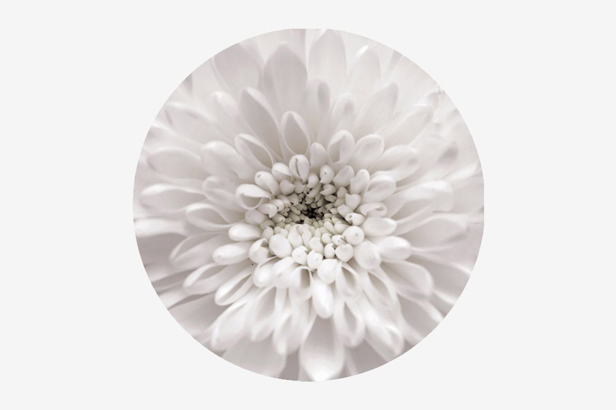 БОСТОН Стол круглый раздвижной 1080/1420 опоры Брифинг белые | фото 3